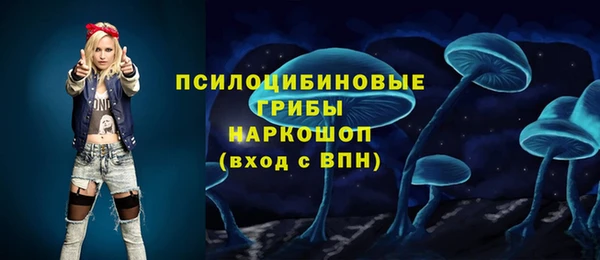 ПСИЛОЦИБИНОВЫЕ ГРИБЫ Горно-Алтайск