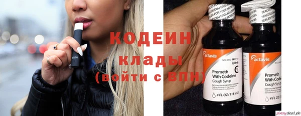 ПСИЛОЦИБИНОВЫЕ ГРИБЫ Горно-Алтайск