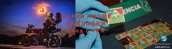 ПСИЛОЦИБИНОВЫЕ ГРИБЫ Горно-Алтайск