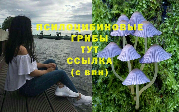марки lsd Горняк