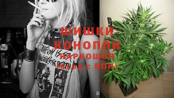 ПСИЛОЦИБИНОВЫЕ ГРИБЫ Горно-Алтайск
