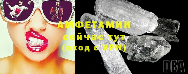 ПСИЛОЦИБИНОВЫЕ ГРИБЫ Горно-Алтайск