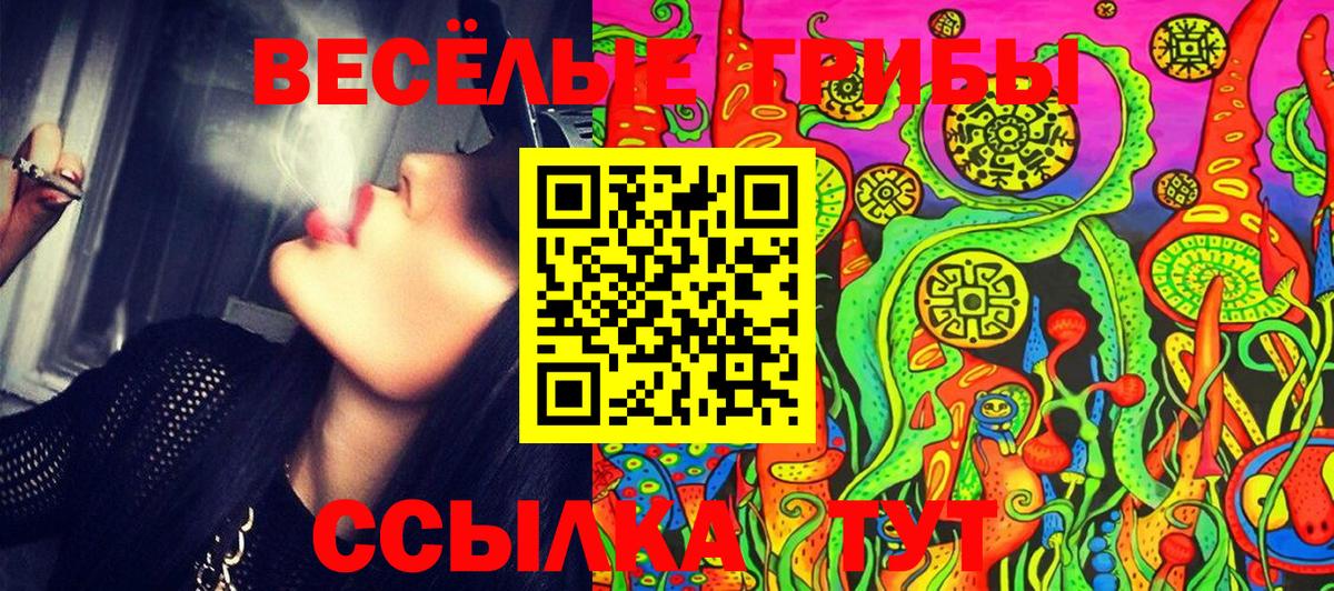 Галлюциногенные грибы мицелий  Междуреченск  как найти   Галлюциногенные грибы Cubensis 