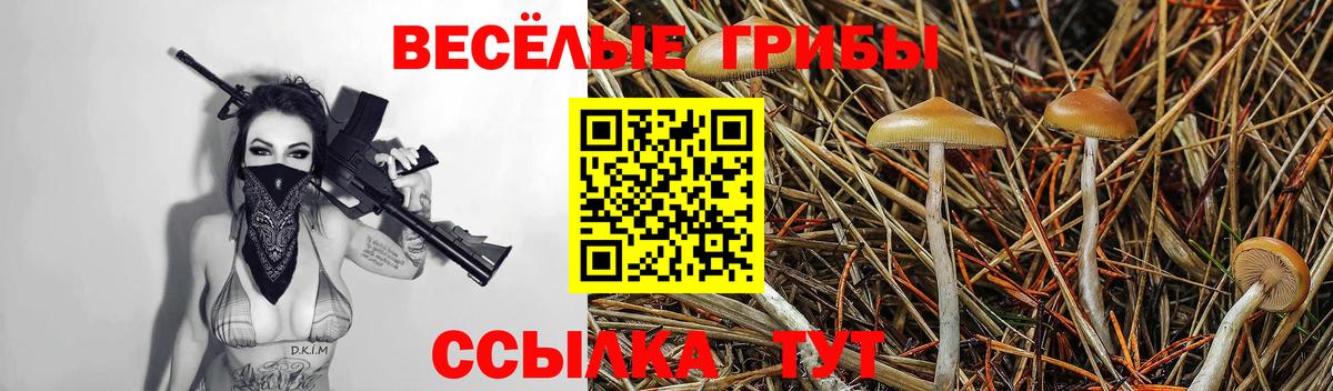 Галлюциногенные грибы Psilocybe  Галлюциногенные грибы Psilocybine cubensis  Междуреченск  Вход с VPN 